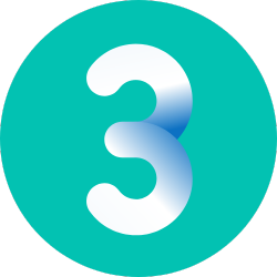 Icon 3